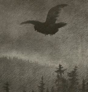 Hovedbilde Snow and Spruce Forest by Helge Kaasin